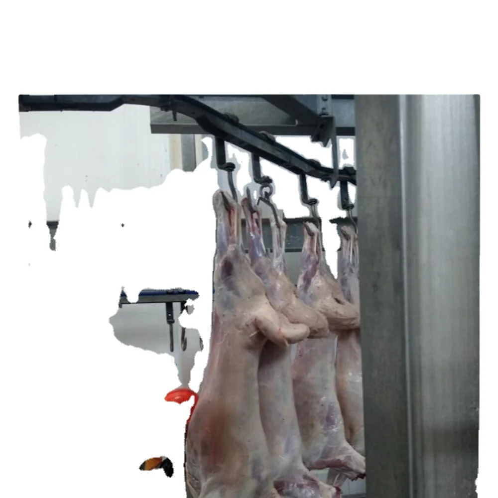 Organic lamb from Kazakhstan