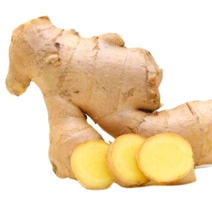 Best Price New Crop Thailand Fresh Ginger,Dried Ginger,Ginger Powder Ready To Export Super Cheaper Price Around the World