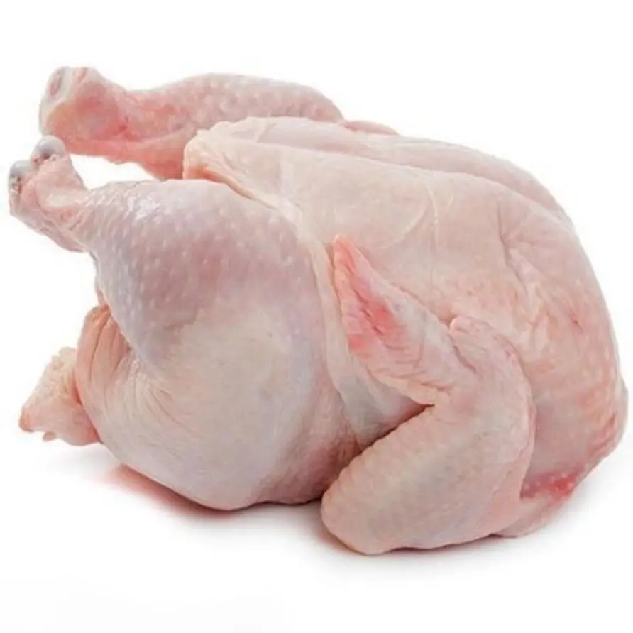HALAL Frozen Whole Chicken For Sale