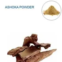 PURE & ORGANIC Saraka indica Powder Saraka indica  |  ASHOKA PATTAI Powder uterine from Indian Agri Farm Whatsapp + 919619091811