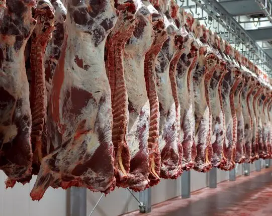 Halal Frozen Beef Carcass & Beef Cuts for Human Consumption