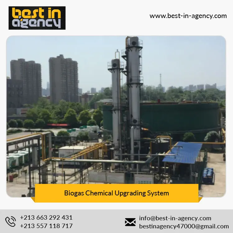 Biological CH4 Content 97% Chemical Type Food-Waste Treatment Upgrading System to Natural Gas