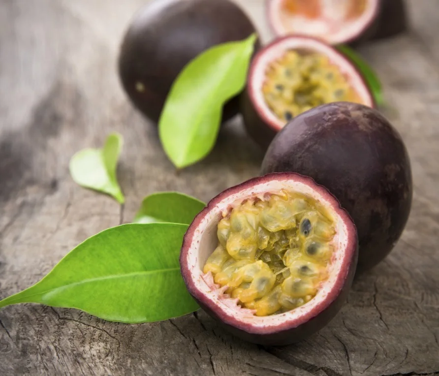PASSION Fruit COMMON Fresh Passion Fruit Export with Cheap Price