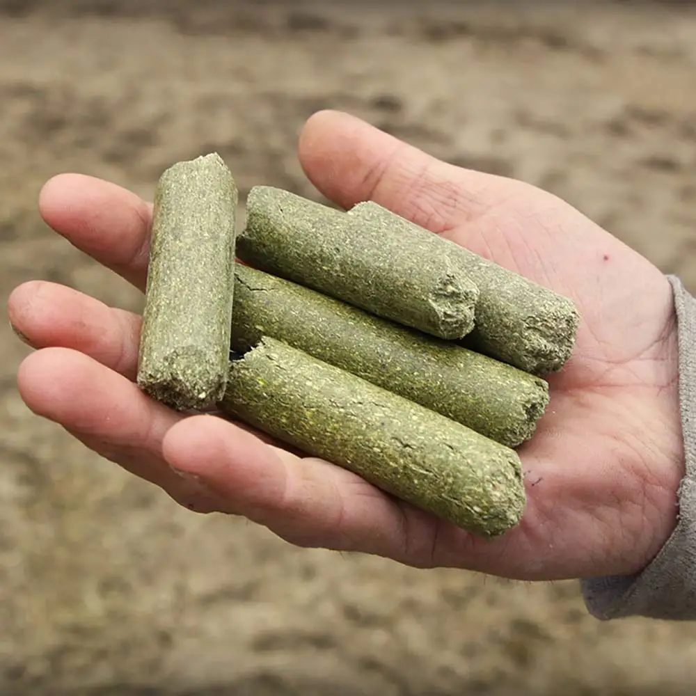 
Alfalfa Pellets . Alfalfa Cubes, Alfalfa Pellets Animal Feed 