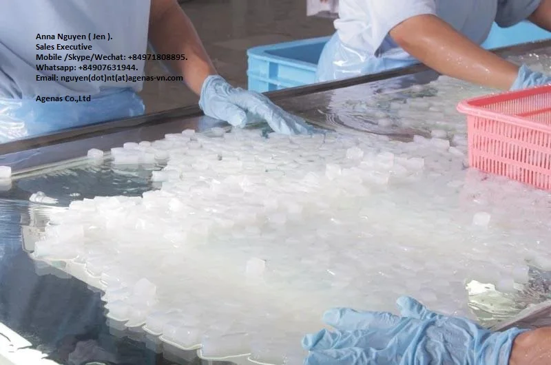 Wholesale Best Price NATA DE COCO FROM VIETNAM High Quality Ready To Ship AGENAS