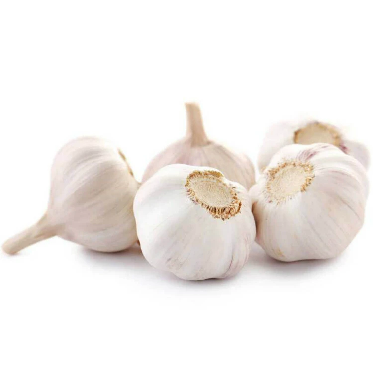 Low Price Fresh Garlic White Garlic Normal White Garlic