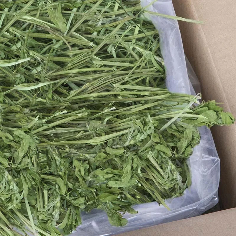 Best Quality American Alfalfa Hay Timothy Hay Cattle Horse Pets Sheep Free 500g Sample