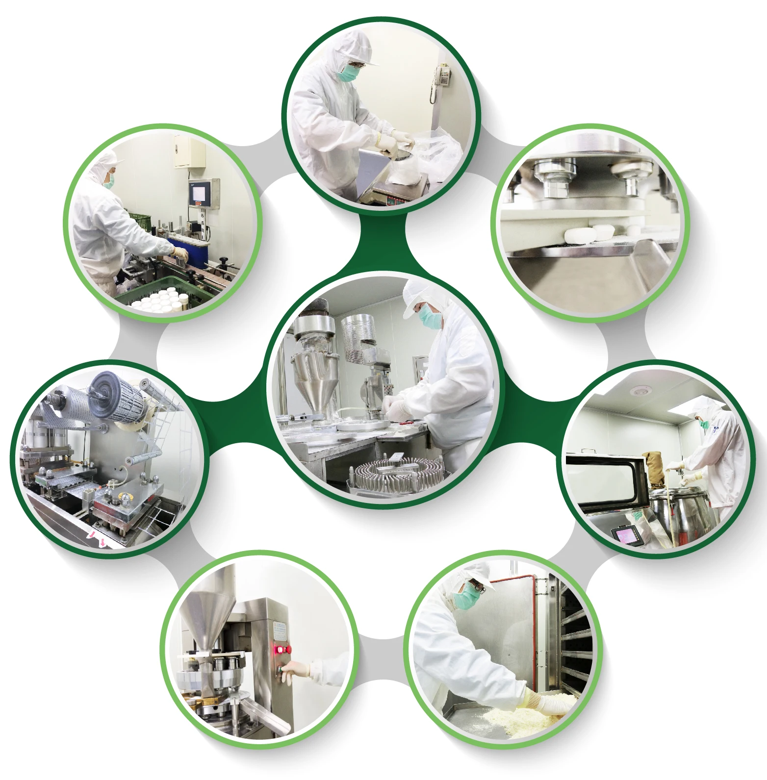 Whey Protein Plus Patented complex of probiotics Chocolate Flavor