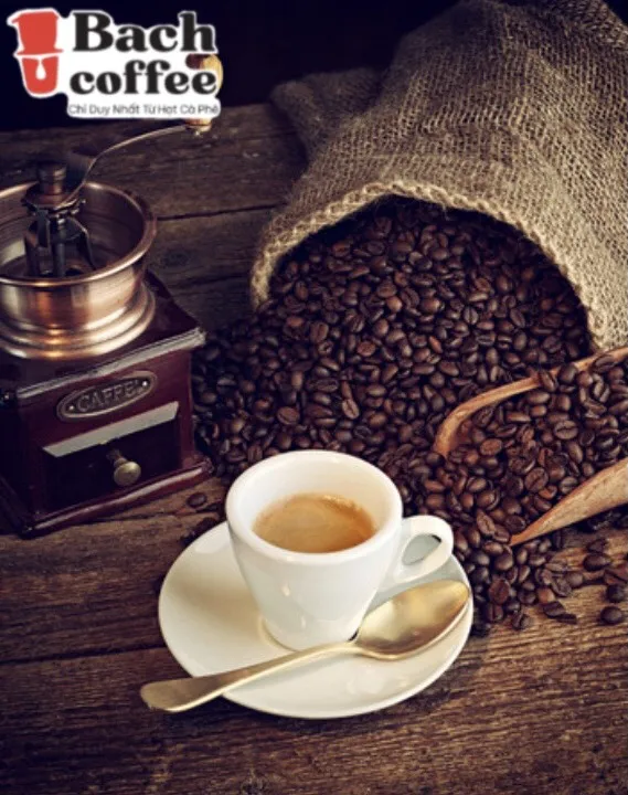 
French original Robusta Coffee beans Unique wild organic coffee beans from Viet Nam for the true coffee lover- city roast 