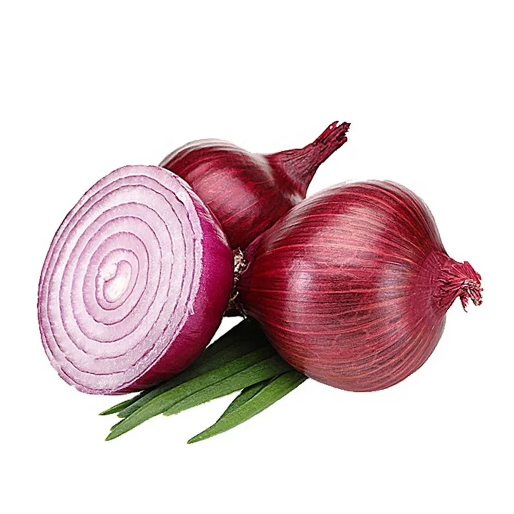 Pakistani Made Fresh Onion wholesalers fresh vegetables onions for sale