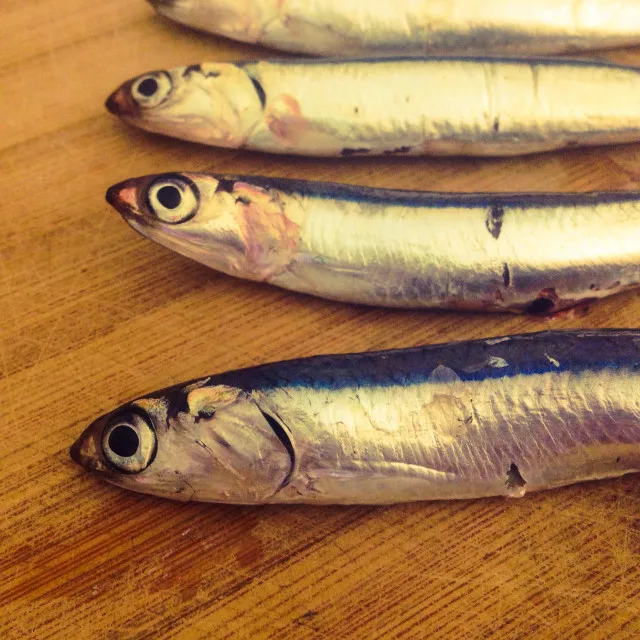 
 Рыба Анчоуса капента хорошего качества свежая, живая, сушеная, замороженная цельная круглая Анчоуса VILACONIC продажа сухой рыбы, Анчоуса, SPRATS  