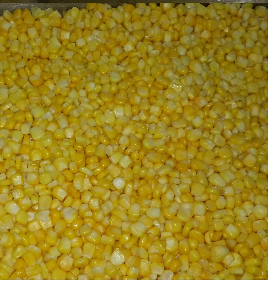 
IQF Frozen Whole Kernel Sweet Corn Thailand 