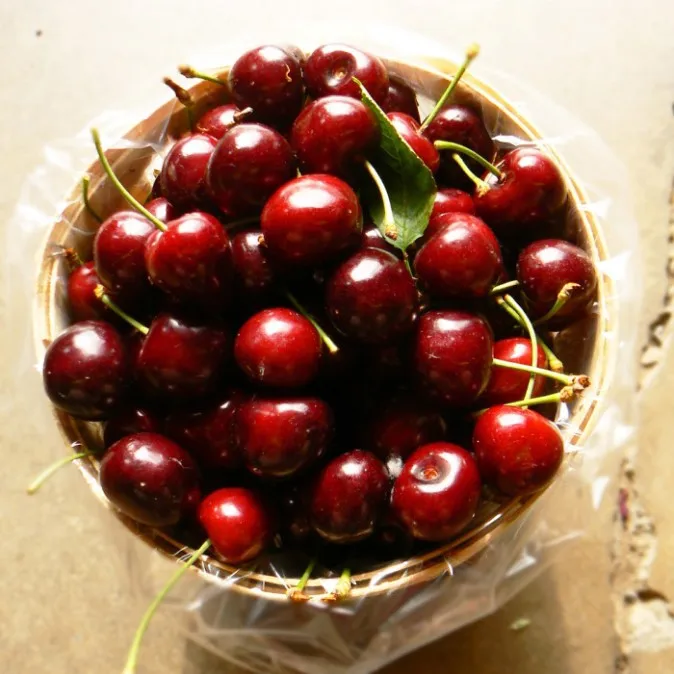 Premium grade Cherries Fresh Cherry Fruit
