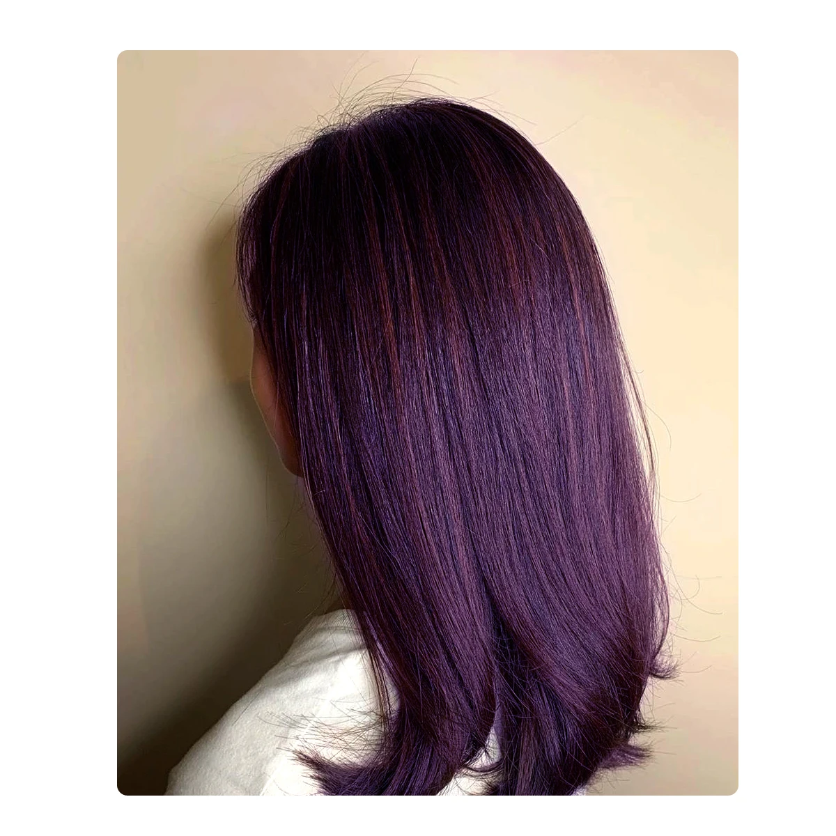 No Ammonia No PPD Natural Hair Coloring Henna Powder No Chemicals