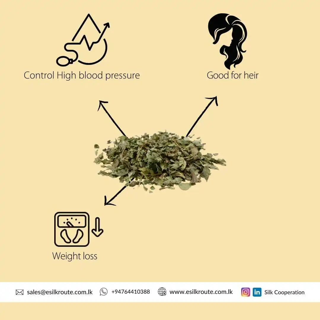 Srilankan Manufacturer of Herbal Extract 100% Pure Organic Natural Lemongrass Cut 1cm Powder at Least Price