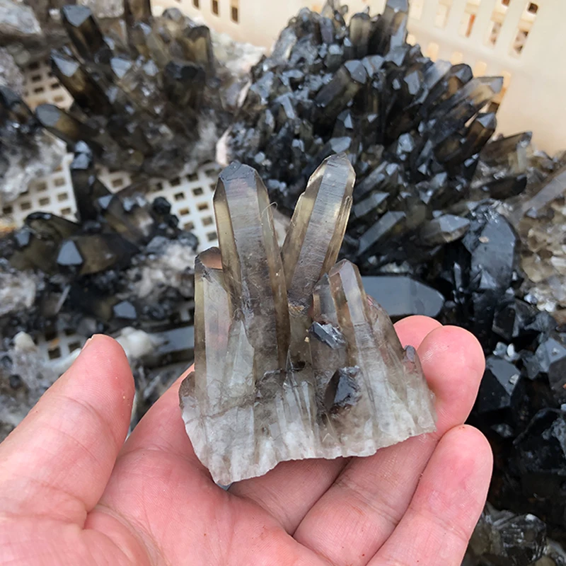 Rare Smoky Citrine Clear Quartz Crystal Cluster for Home