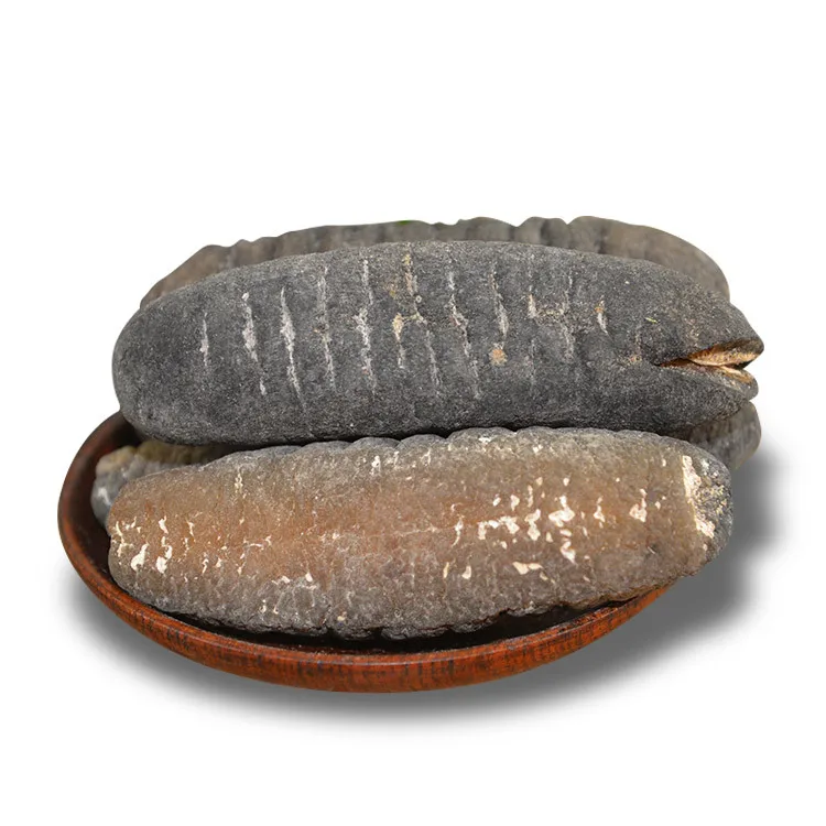 Sea Cucumber Best Quality Sun Dried Sea Cucumber Fresh Frozen BQF Trepang WHOLESALE High quality delicious