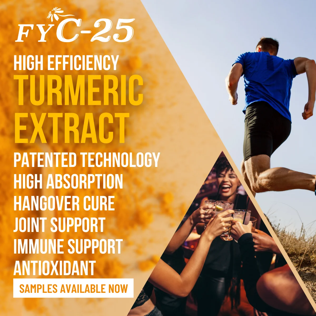 RTS nano turmeric extract raw material anti-oxidation high bioavailability extract private label