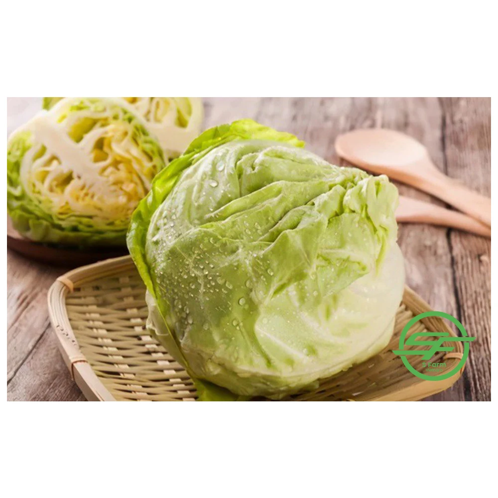 Оптовая продажа свежей капусты хорошие цены