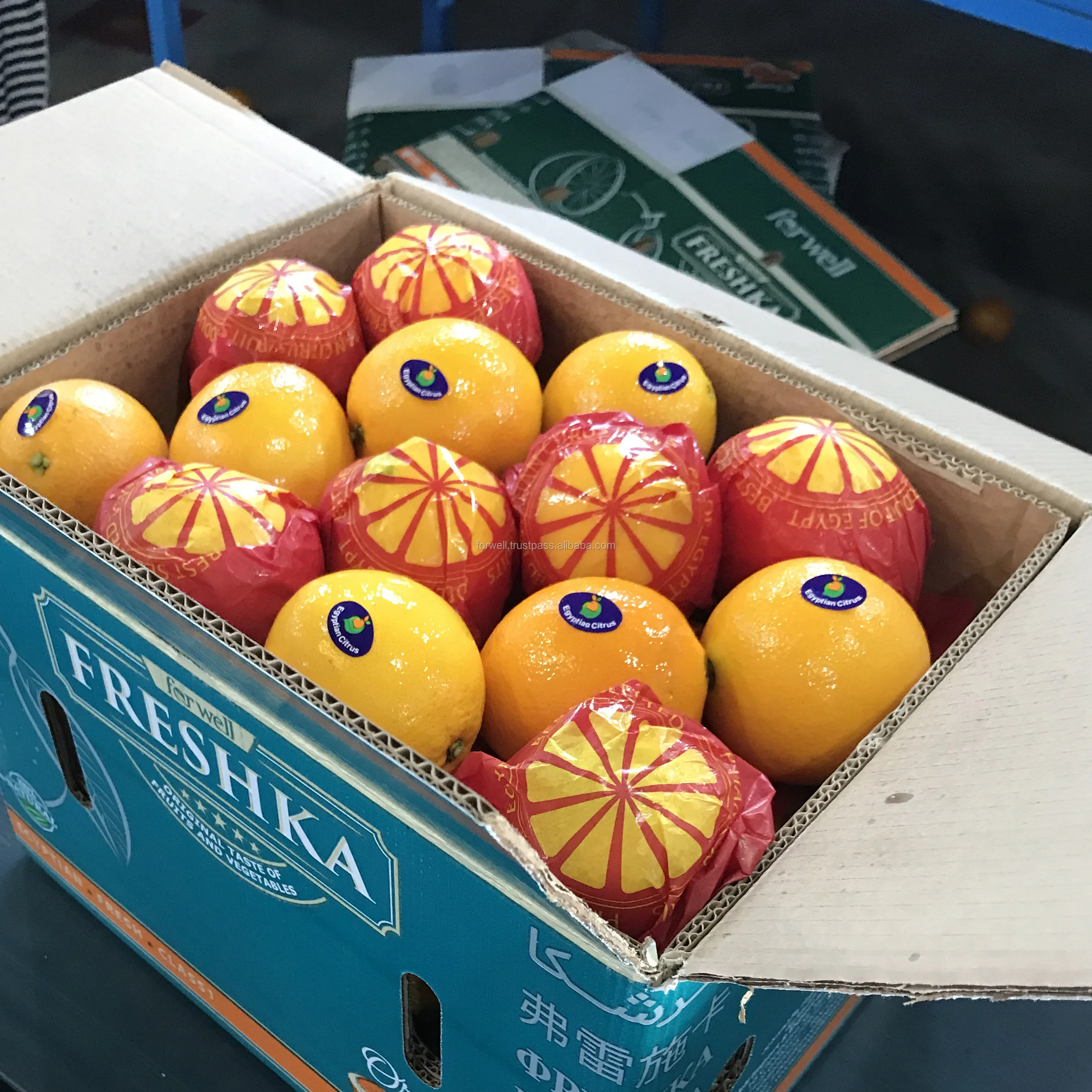 HIGH SPECIFICATIONS ORANGE EGYPTIAN FRUIT ON BIG SALE EXPORTING TO MANY COUNTRIES