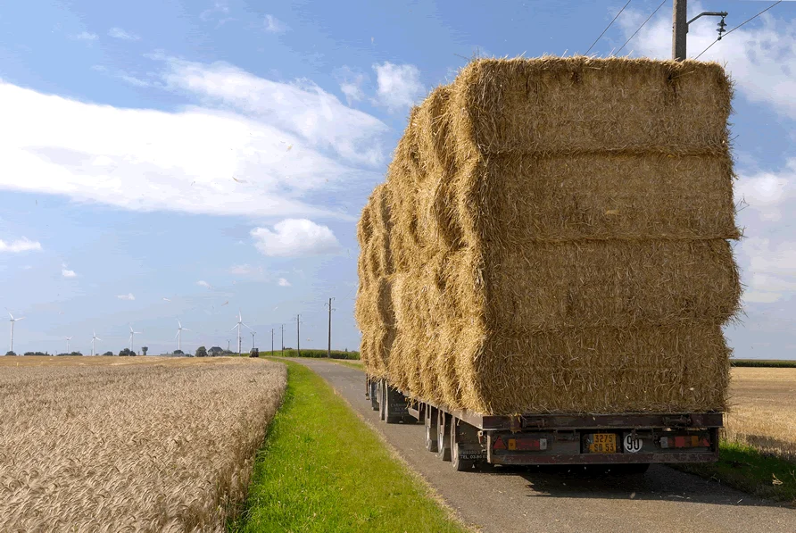 Лучшее качество/большое количество рисовых трубок, сеновые тюки/круглые и квадратные
