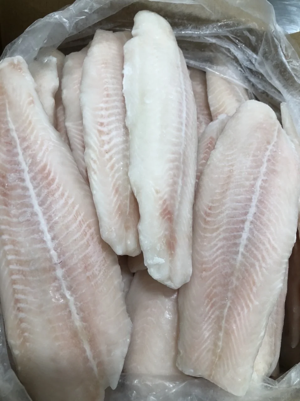 High quality Frozen Pangasius/ Basa Fillet