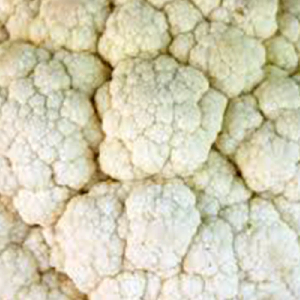 
Ready to Eat Fresh Cauliflower Export at Quick Time 