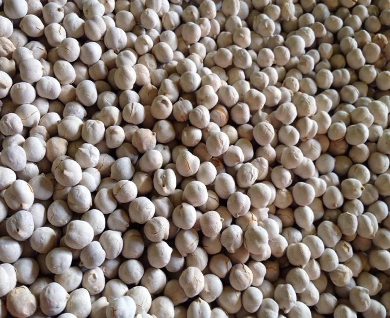 
Wonderful-Turkish chickpeas-White roasted chickpea with 