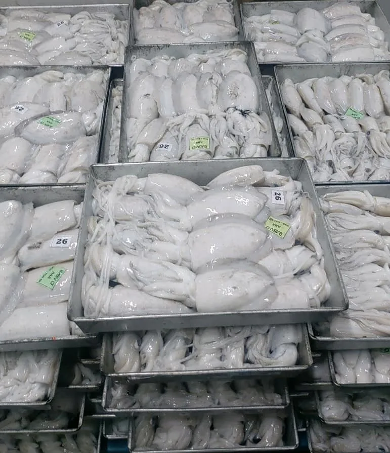 Замороженная морская рыба, свежая морская рыба, морская рыба