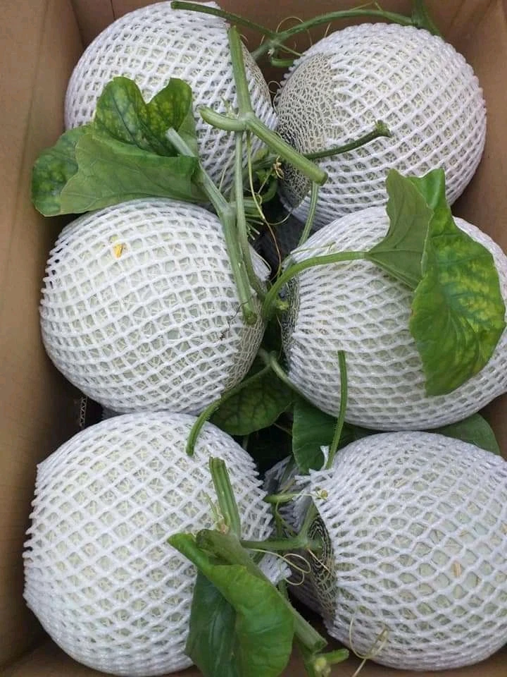 Богатый витамин, подходит для здоровья, 100% натуральная свежая Мускусная Дыня премиум-класса, размер 1,0-2,0 кг, высокое качество, Лучшая цена