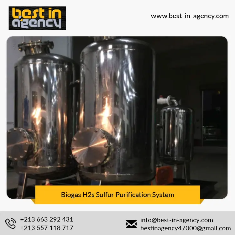 Stainless Steel 20~300 Nm3/H Moisture Desulfurization Scrubber Biogas H2s Sulfur Purification System