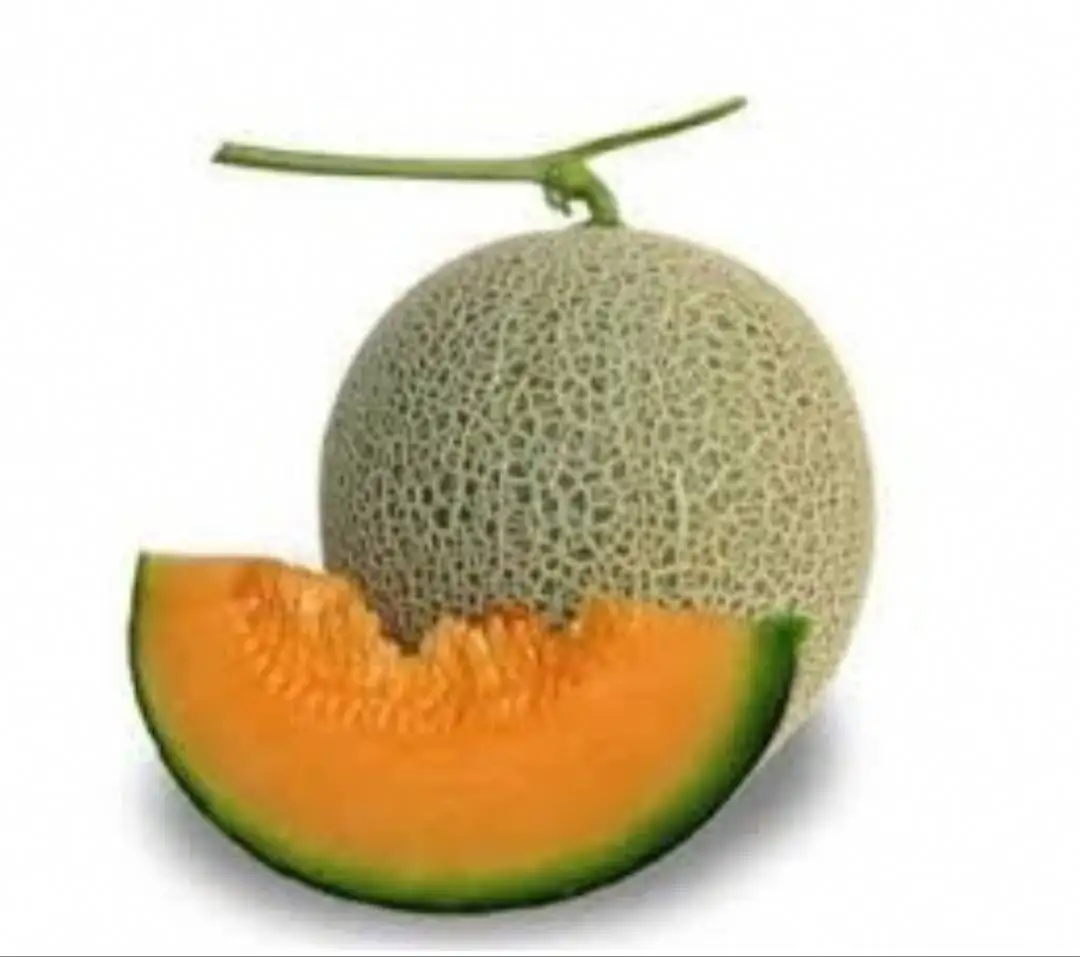 Свежий CANTALOUP Таиланд