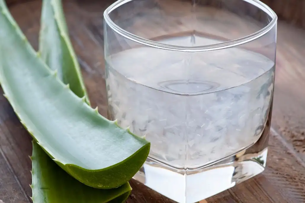 
Aloe Vera Syrup Produced With Pasteuried Technology And No Preservatives From Vietnam 