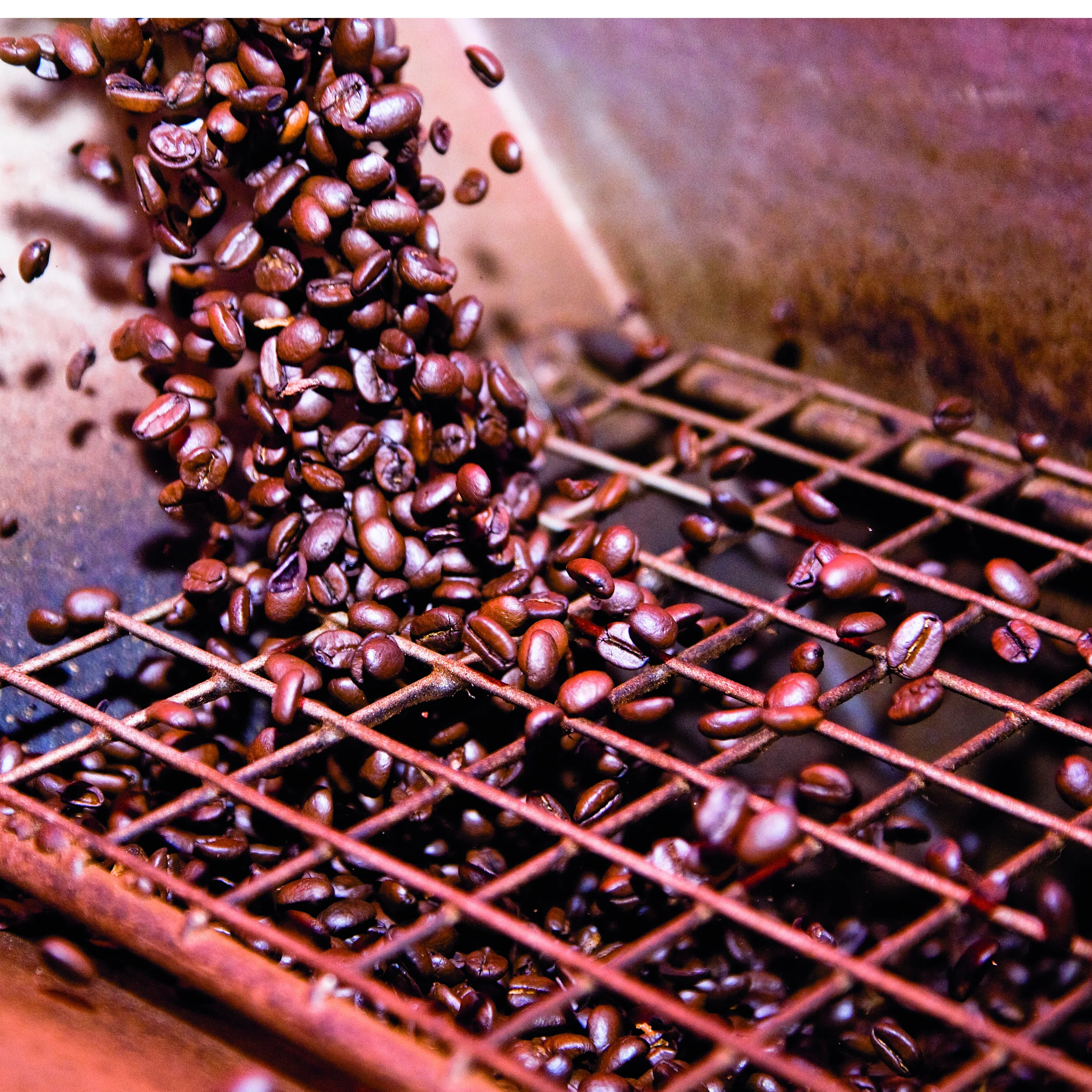 Итальянская кофе премиум-класса lavaza эспрессо точка, совместимые капсулы 70% Arabica 30% Robusta Kaapi Royale