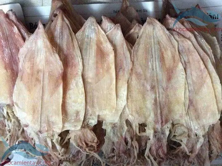 100% NATURAL DRIED SQUID FROM VIETNAM / HANA