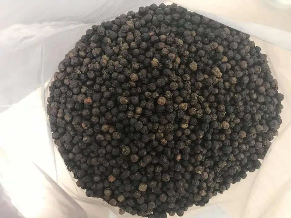 Dried Pepper FAQ/ MC (Cleaned) New Crop With Competitive Price + Best Quality (Whatsapp: +84 368 591 192)
