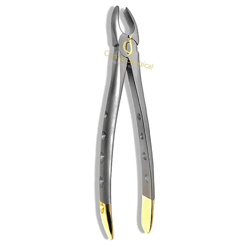 Tooth Extraction Forceps Tooth Extracting Dental Instruments Dentistry wholesale Extracting Forceps