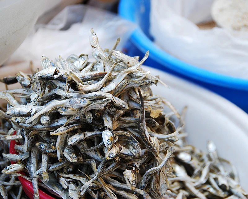 Premium Quality Anchovy Seasoning ISO, GMP, HACCP, JAKIM (Halal) Certified Soluble in Water Aroma with Anchovy Savoury Base