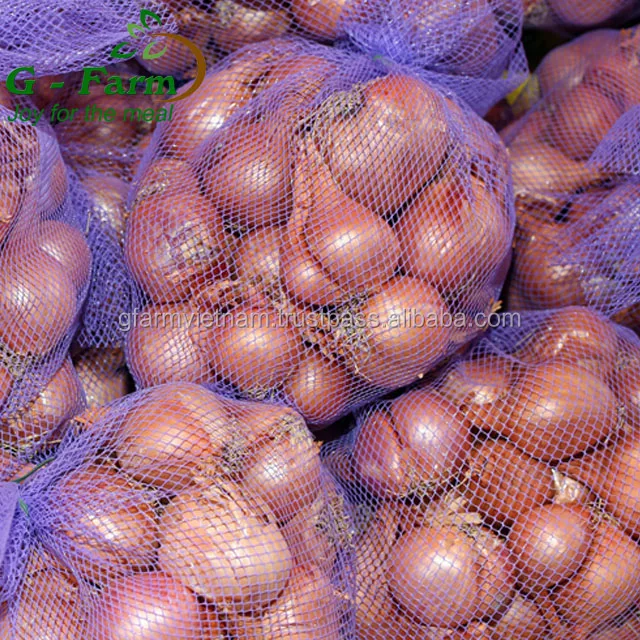 
Fresh red-white onion for sale from Vietnam 