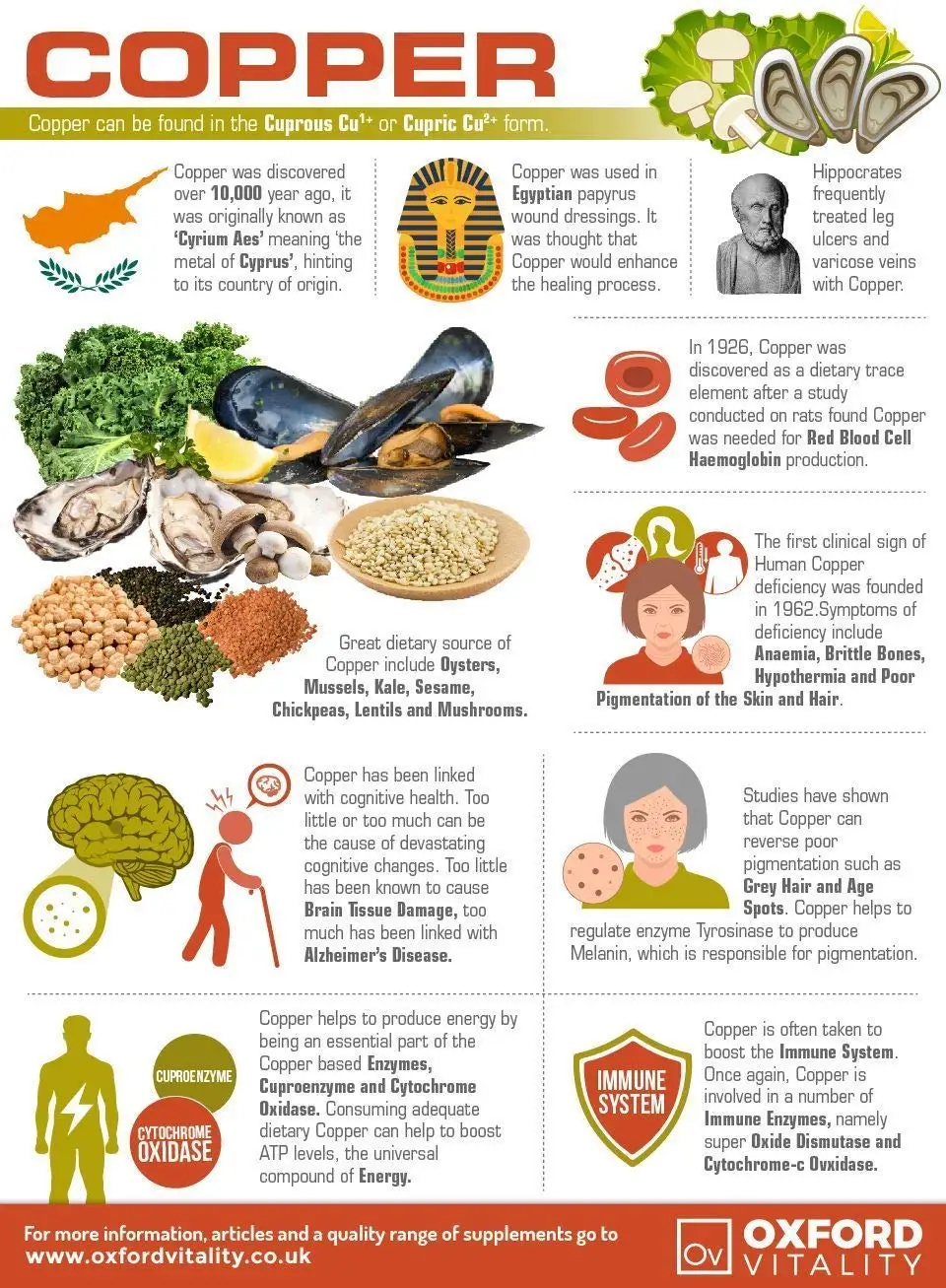 Hammered Heavy Copper Water Dispenser Container Pot with Stand 100% Pure Copper Good Health Benefits 3000 - 5000 ML