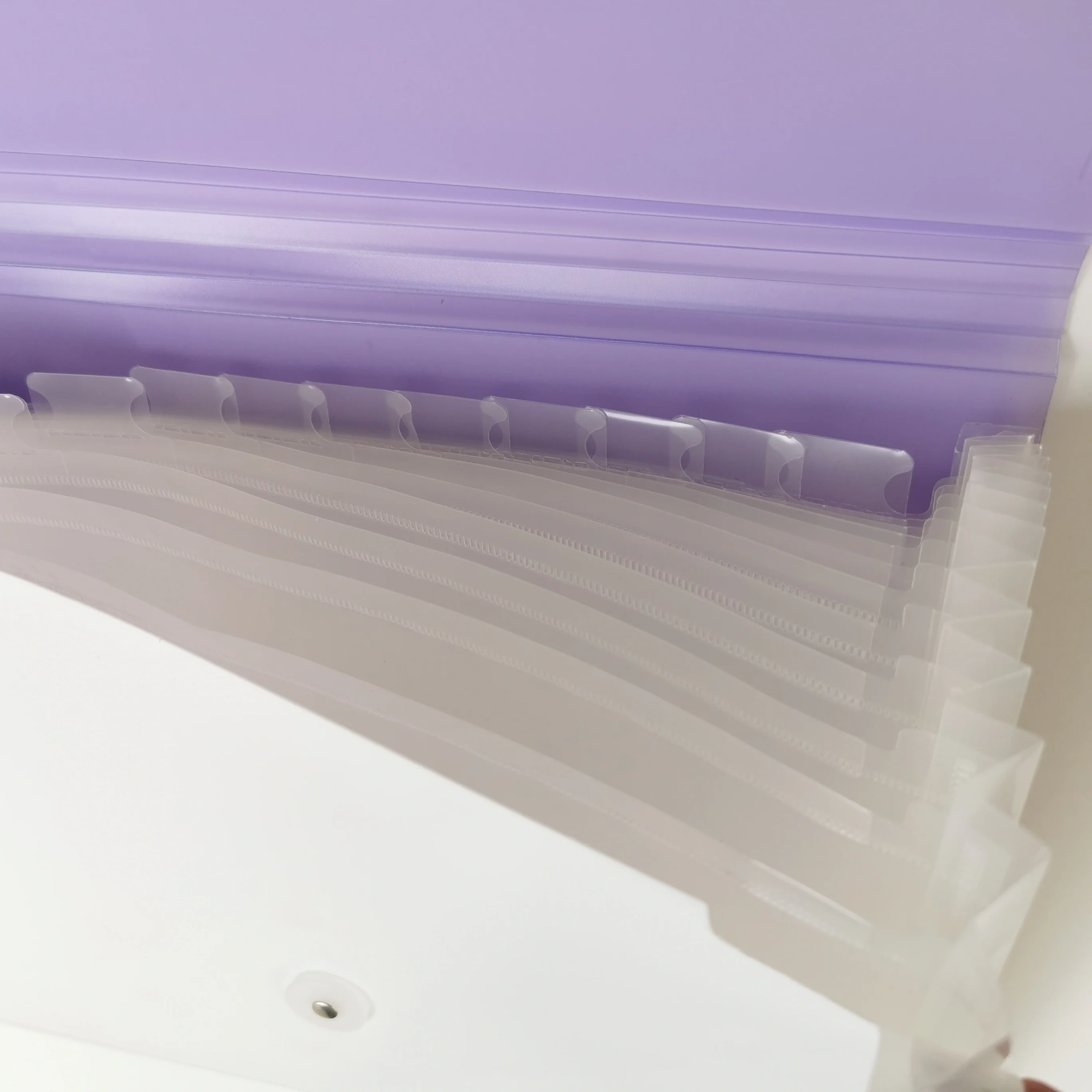 OEM канцелярский файл Резиновая лента Кнопка Сумка для документов 12 карманов расширяющийся бумажник PP