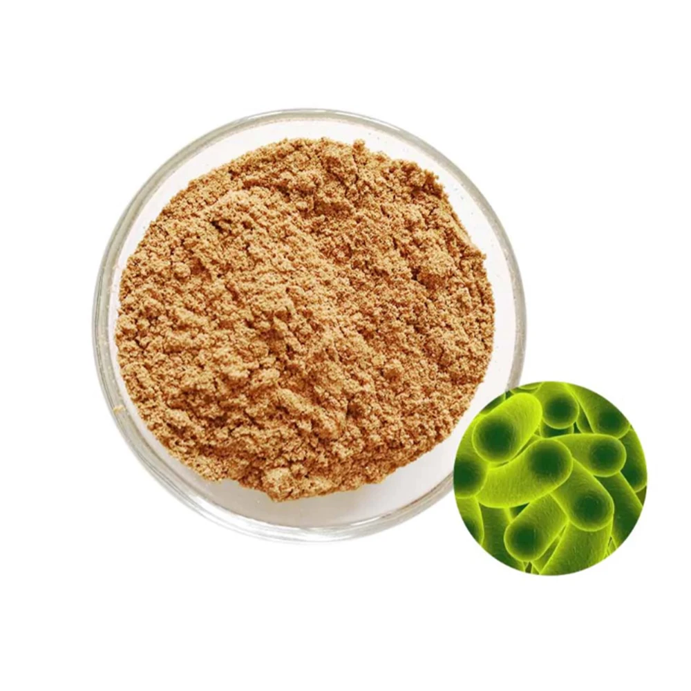 Feed Additives Bulk Bacillus Subtilis Probiotics Bacillus Subtilis Probiotic - Zealmax Biopharma