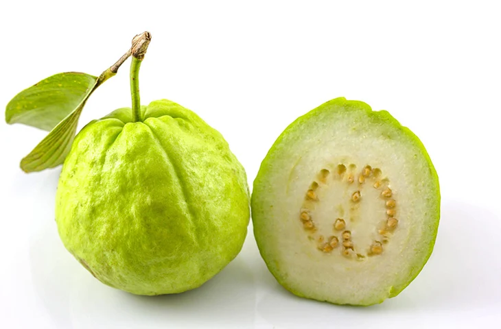 Fresh Guava (Green Skin) from Vietnam for the best price to export - VietGAP and GlobalGAP standards in agricultural production