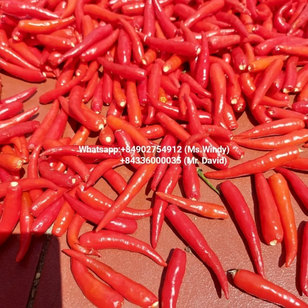 Dried red chili with wholesale price and meet standard export and available in stock in Binh Dinh Vietnam used as spices