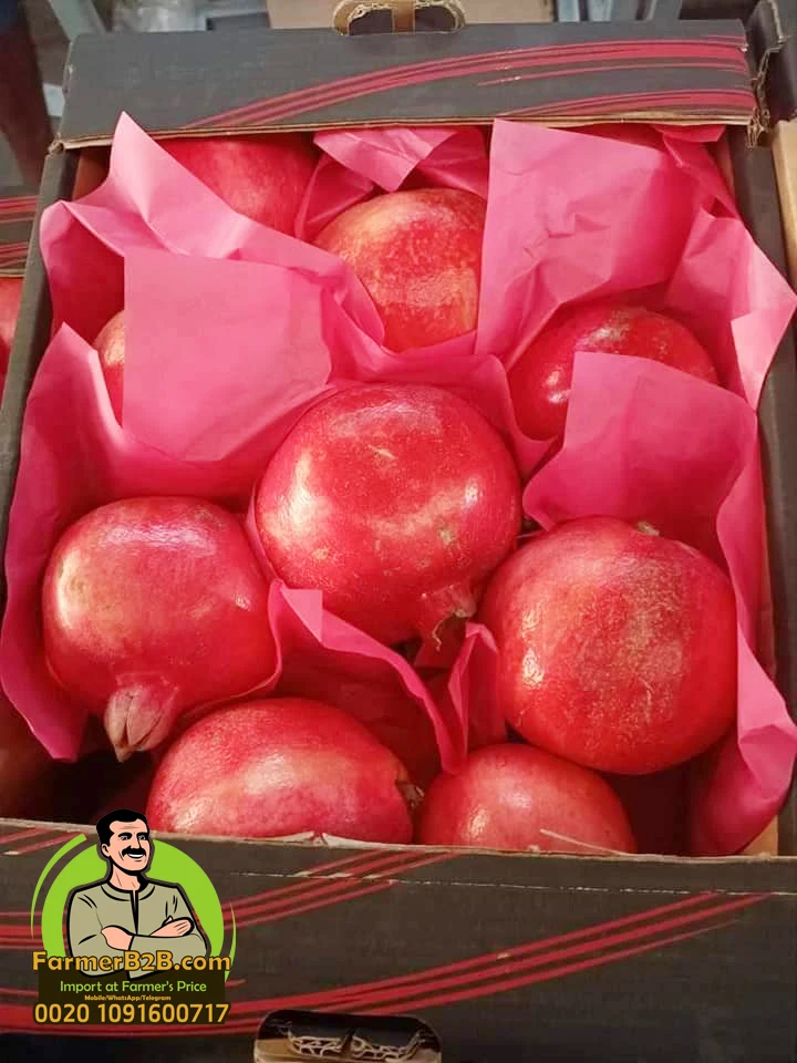 Свежие гранатовые фрукты премиум-класса wonderful-116 (Непревзойденная цена)