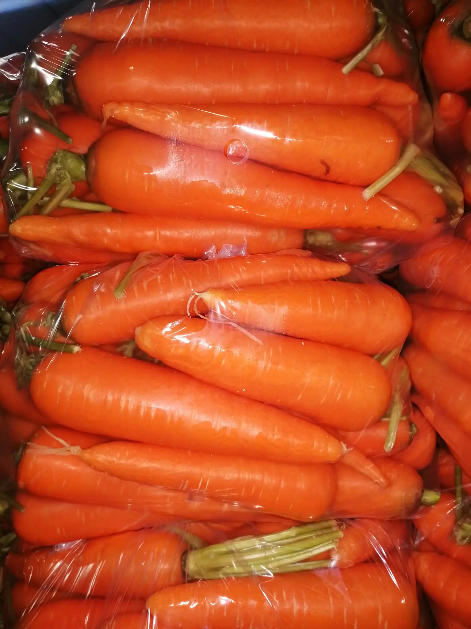 Свежая морковь carrotfresh цена экспорт оптовая упаковка 4 5 кг нетто (тел./whatsapp/ viber: 0084 989 322 607)