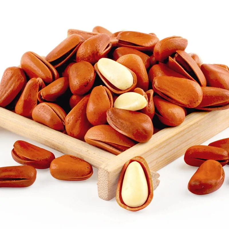 Wholesale Bulk In Shell Pine Nuts
