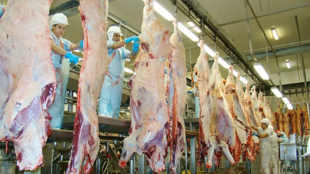 Оптовая продажа говядина замороженная хвостовик мясо без костей кубический рулон фиалка (Bullwhip) страурин патрон Халяль