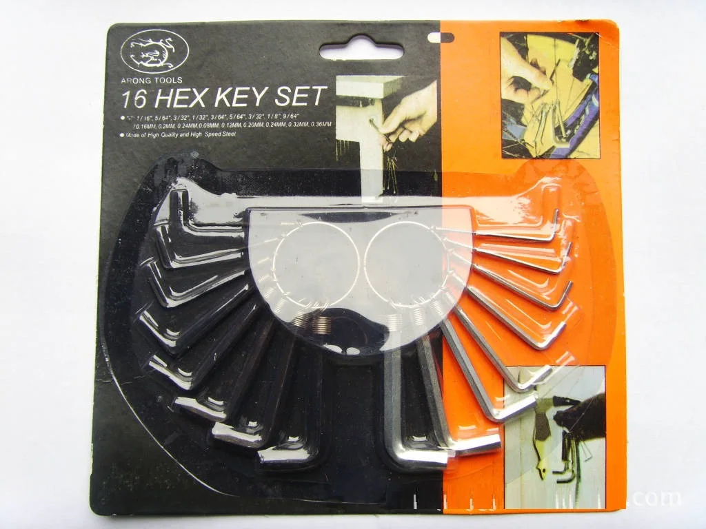 10PC blister card/double gun inner hexagona