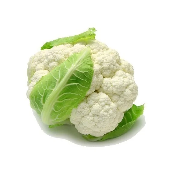 
Wholesale Dealer Of Cheapest Price Fresh Vegetables Cauliflower 